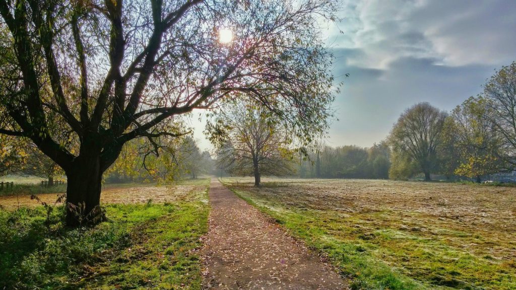 dirt path through green space with trees, sun, clouds, blue sky