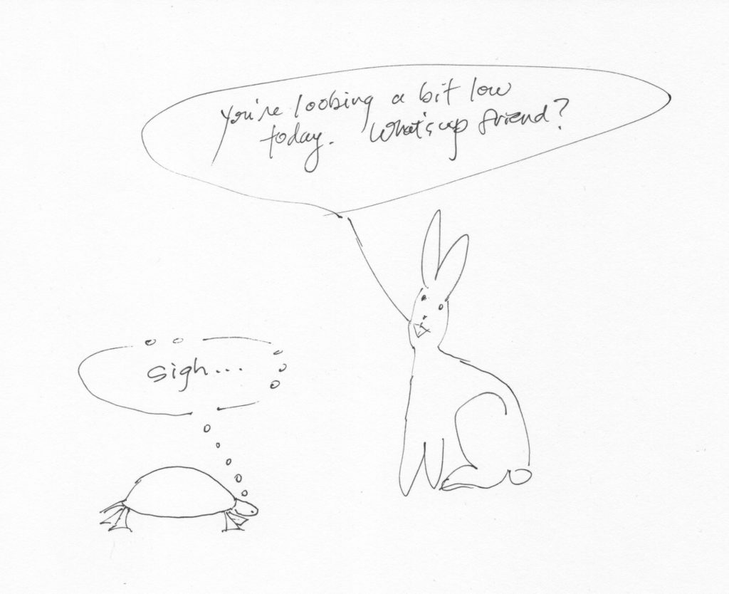 Comic of turtle with thought bubble that says Sigh. Hare says You're looking a bit low today. What's up friend?