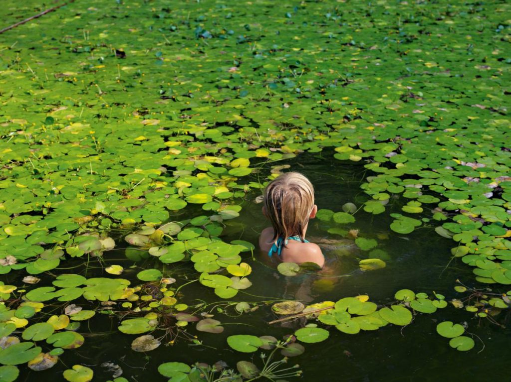 child immersed in pond full of green water lilies