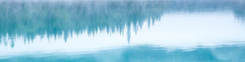 photo of pine trees reflected in water